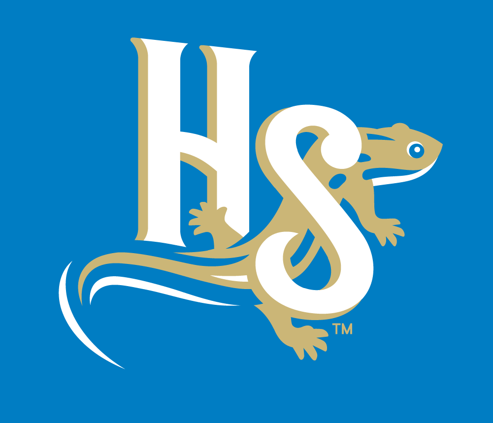 Holly Springs Salamanders 2015-Pres Alternate Logo v5 iron on transfers for T-shirts